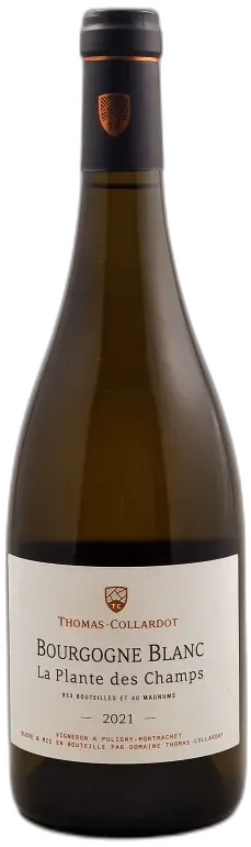 photo Thomas-Collardot Bourgogne Blanc 