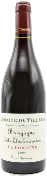 vue du vin Domaine de Villaine Côte Chalonnaise la Fortune 2024