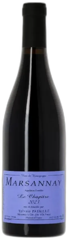vue du vin Sylvain Pataille Marsannay "le Chapitre"
