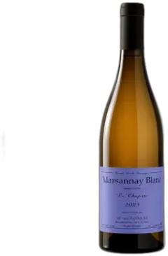 vue du vin Sylvain Pataille Marsannay "le Chapitre"