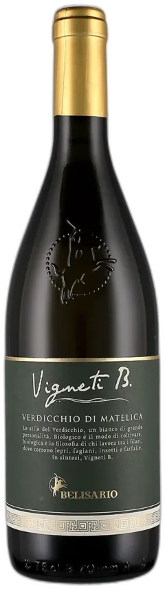 photo du vin Verdicchio di Matelica Doc Vigneti b Belisario 2024