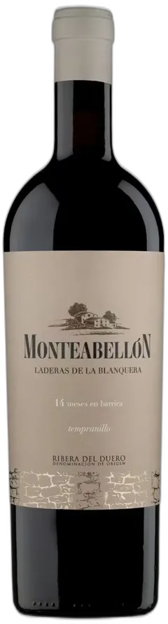 vue du vin Monteabellón 14 Meses