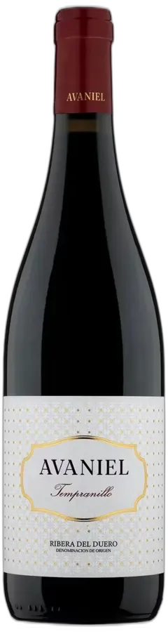 vue du vin Monteabellón 14 Meses