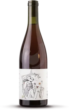 illustration du vin Bambino