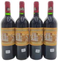 vue du vin Château Ducru Beaucaillou