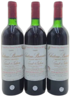 photo du vin Château Branaire Ducru Tlb