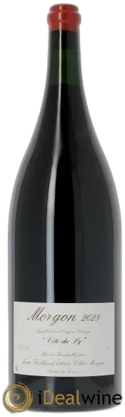 vue du vin Morgon Côte du py Jean Foillard