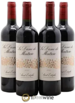 vue du vin la Dame de Montrose Second Vin