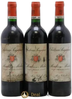 image du vin Château Poujeaux