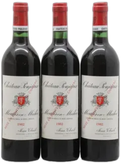 image du vin Château Poujeaux