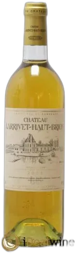 vue du vin Château Larrivet Haut-Brion