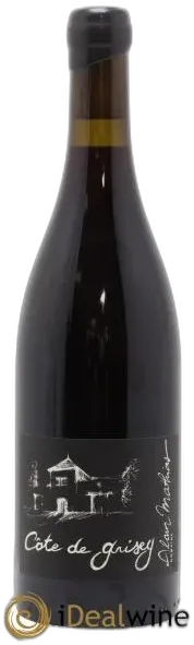 vue du vin Bourgogne Epineuil Côte de Grisey Domaine Alain Mathias