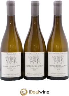 photos du vin Puligny-Montrachet 1er Cru Sous le Puits Terre de Blagny Benoit Ente