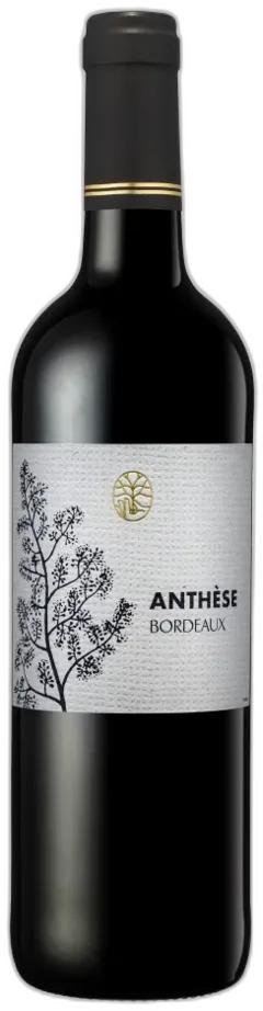 photo du vin Anthèse Bordeaux