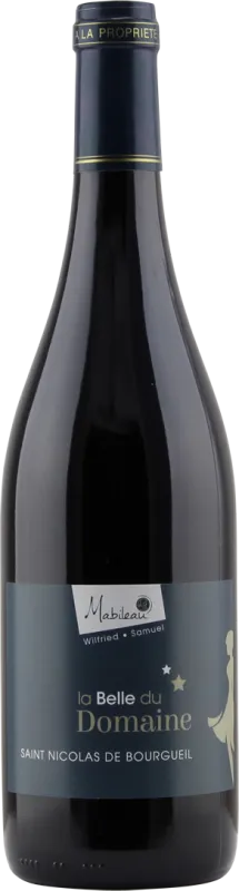 vue du vin st Nicolas de Bourgueil Domaine Mabileau Aoc Rouge