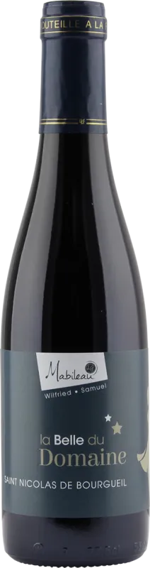 photo du vin Saint Nicolas de Bourgueil Mabileau