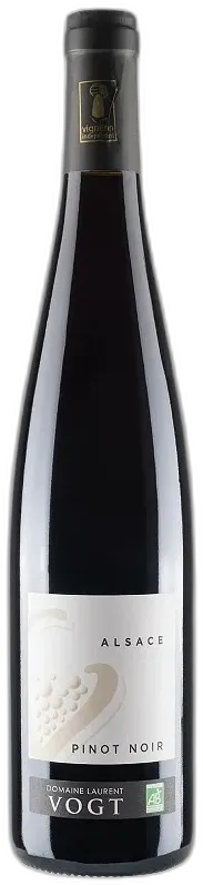 vue du vin Pinot Noir, Domaine Stirn