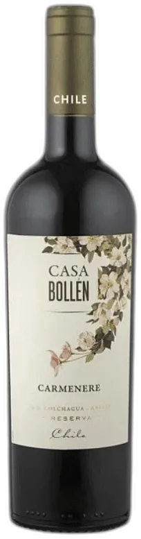photo du vin Casa Bollen Carmenère Calchagua Rouge 2022