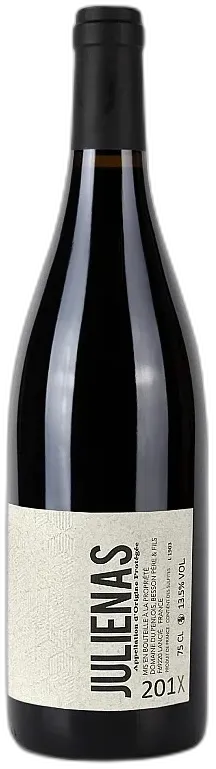 vue du vin Juliénas 2020 2023 Sébastien Besson