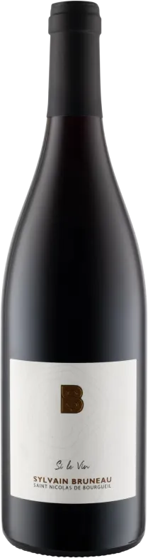 image du vin si le Vin 2024 Saint Nicolas de Bourgueil Rouge