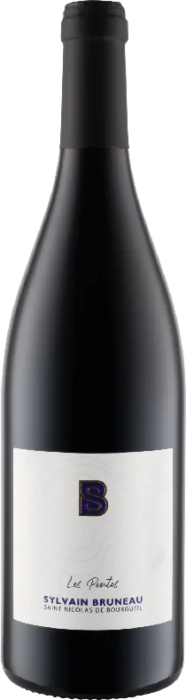 aperçu du vin les Pentes 2024 Saint Nicolas de Bourgueil Rouge