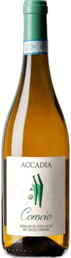 capture du vin Verdicchio Dei Castelli di Jesi Superiore Doc Conscio Accadia