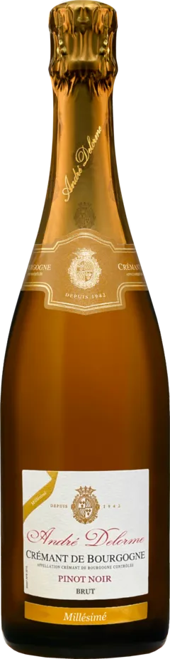 capture du vin Pinot Noir, Blanc de Noirs Brut Millésime 2024