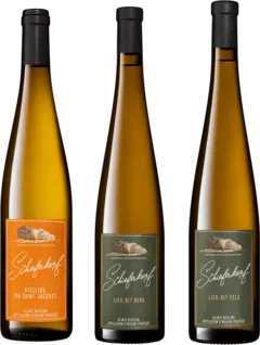 capture du vin Alsace Découverte Schieferkopf m Chapoutier