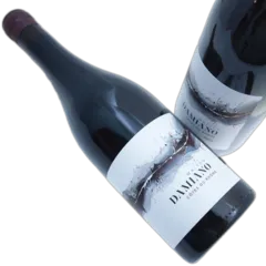image du vin Maison Damiano Côtes du Rhone Rouge 2024