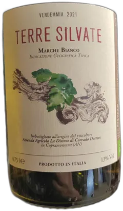 photo du vin Vin la Distesa Terre Silvate Marche Bianco, Italie