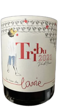 vue du vin Vin les Terres Turones Domaine de la Croix mã©Lier, Val de Loire