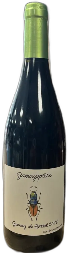 vue du vin Vin Gamayoptã¨re Antoine Lienhardt, Beaujolais