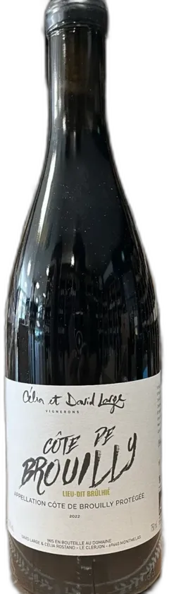 vue du vin Vin cã´te de Brouilly Brã»Lhiã© cã©Lia et David Large, Beaujolais