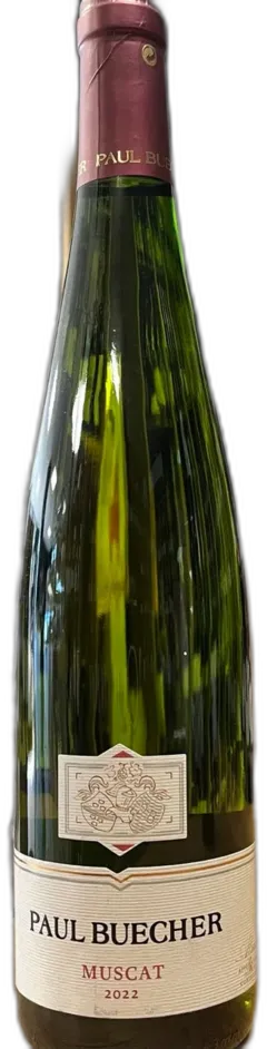 photo du vin Vin Muscat Sec Expression Paul Buecher