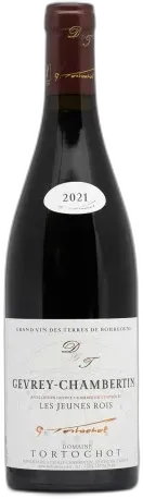 vue du vin Gevrey Chambertin 2023 "les Jeunes Rois"