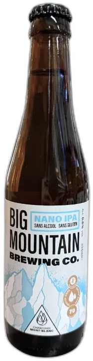 vue du vin Big Mountain Nano Ipa Sans Gluten 5 les Rois Malts