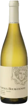 photo du vin Coteaux Bourguignons Domaine Vincent Bouzereau