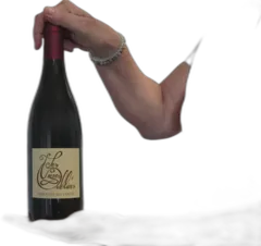 illustration du vin Terrasses du Larzac les Vignes Oubliées Jean-Baptiste Granier