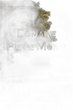 image du vin Meursault Pierre Morey
