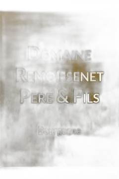 image du vin Remoissenet Père & Fils Chassagne-Montrachet 1er Cru la Maltroie
