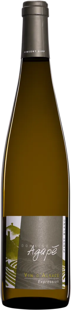 vue du vin Aoc Alsace Riesling "Expression" Domaine Agapé