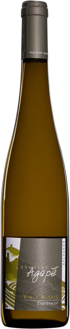 vue du vin Aoc Alsace Riesling "Expression" Domaine Agapé