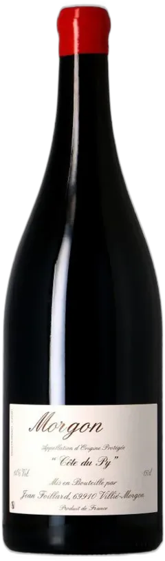 vue du vin Jean Foillard Magnum Morgon Côte du py 2023