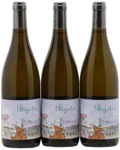 vue du vin Bourgogne Bigotes Domaine de Chassorney Frédéric Cossard