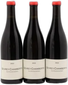 aperçu du vin Gevrey-Chambertin les Genevrières Qvevris Domaine de Chassorney Frédéric Cossard