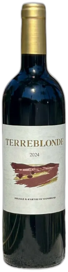 vue du vin Domaine de Terrebrune