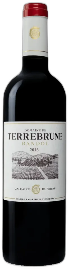 vue du vin Domaine de Terrebrune