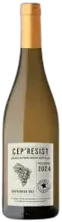 vue du vin Cep’Resist Souvignier