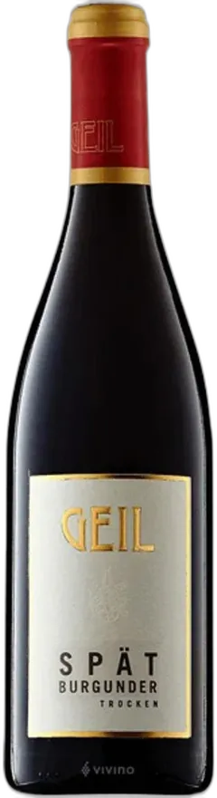vue du vin Vino Rosso Secco Spatburgunder Weingut Geil