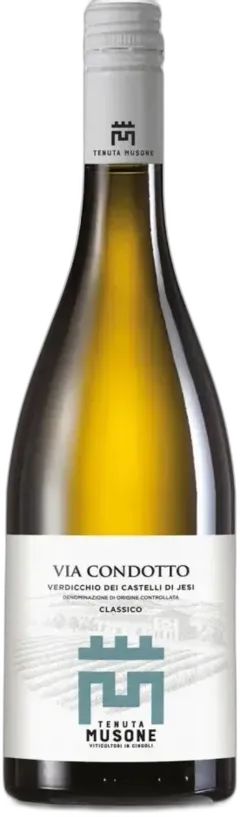 photo du vin Verdicchio Castelli di Jesi Classico Doc Via Condotto Magnum Tenuta Musone